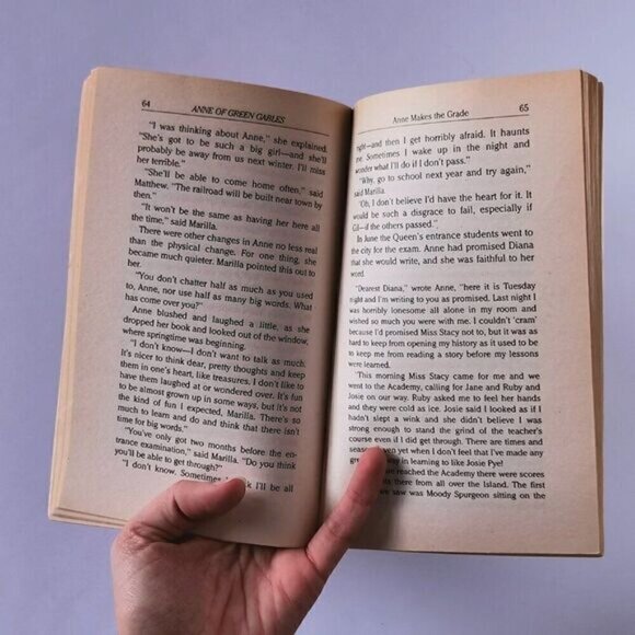 1994 Anne of Green Gables Paperback Illustrated Childrens Classic Book Lucy Maud - Picture 9 of 9